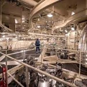 بزرگ‌ترین نیروگاه اتمی ژاپن دوباره فعال شد