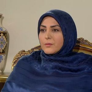  حرکت متفاوت المیرا شریفی‌مقدم برای آزادی معترضان دی ماه/ ویدئو