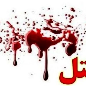 پسری عمویش را با بیل کشت