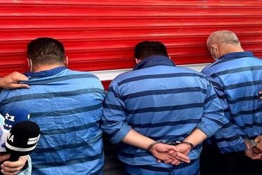 زمینگیر شدن سرکرده اوباش محله پیروزی/ ویدئو