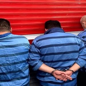 زمینگیر شدن سرکرده اوباش محله پیروزی/ ویدئو