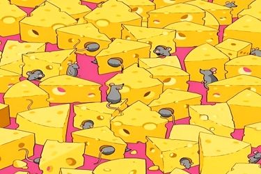 آیا می‌توانید تاس پنهان شده بین پنیرها و موش ها را پیدا کنید؟