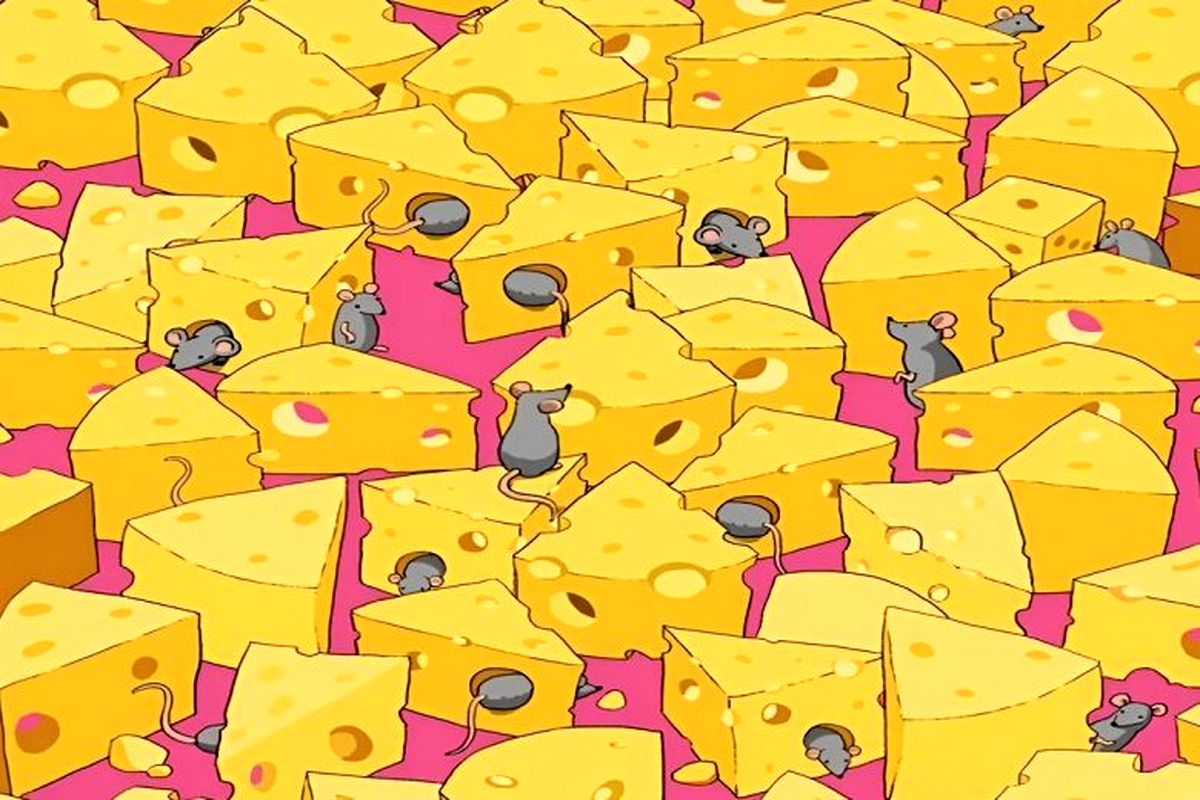 آیا می‌توانید تاس پنهان شده بین پنیرها و موش ها را پیدا کنید؟