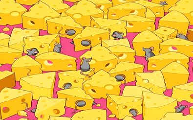 آیا می‌توانید تاس پنهان شده بین پنیرها و موش ها را پیدا کنید؟