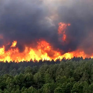  آتش‌سوزی در ارتفاعات چالوس با آغاز بارش‌ها فروکش کرد