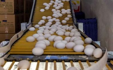 پشت پرده تخم مرغ 650 تومنی چیست؟