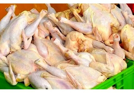 مرغ‌ها‌ روی دست تولیدکننده ماندند