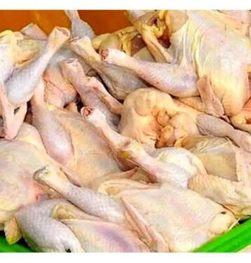 مرغ‌ها‌ روی دست تولیدکننده ماندند