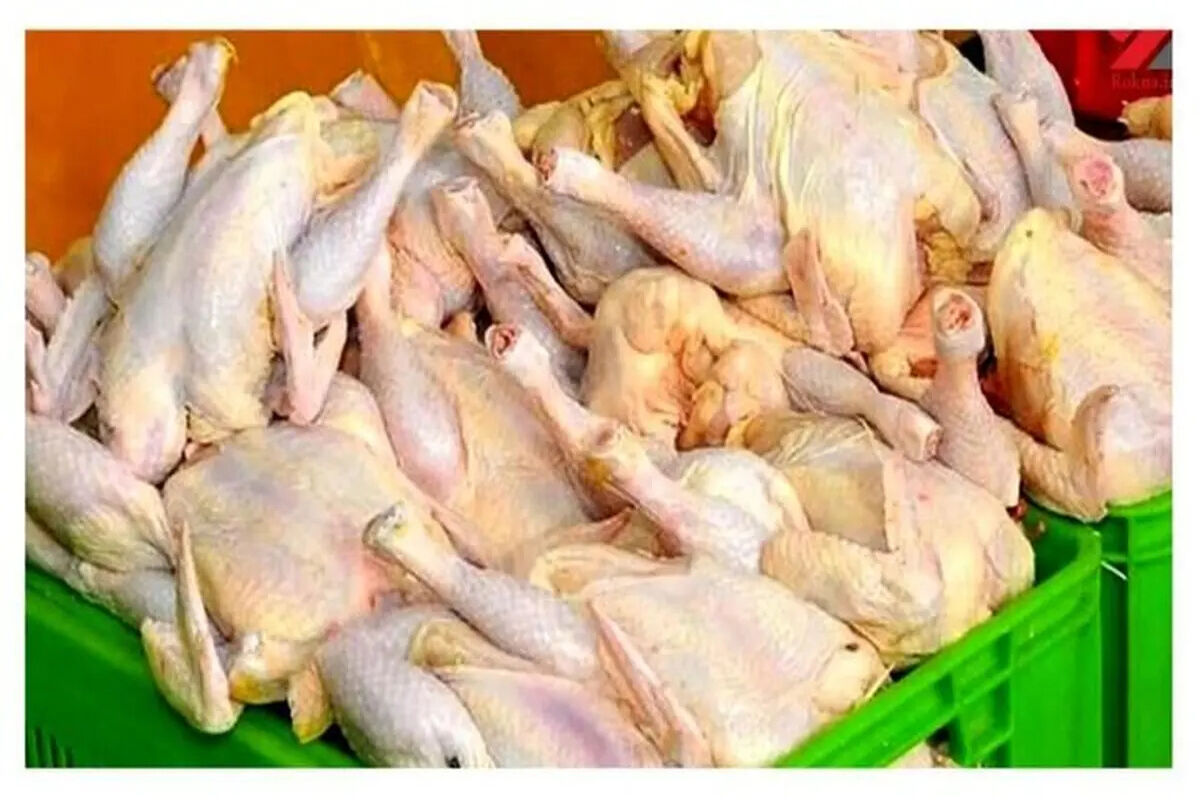 مرغ‌ها‌ روی دست تولیدکننده ماندند