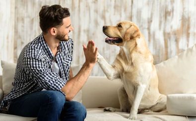 آیا انسان‌ها می‌توانند با حیوانات گفت‌وگو کنند؟