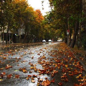 هوای تهران از این روز رنگ پاییز را می‌گیرد