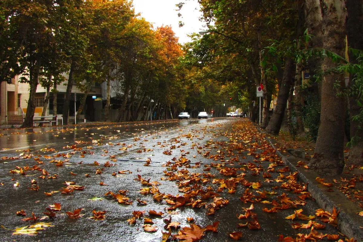 هوای تهران از این روز رنگ پاییز را می‌گیرد