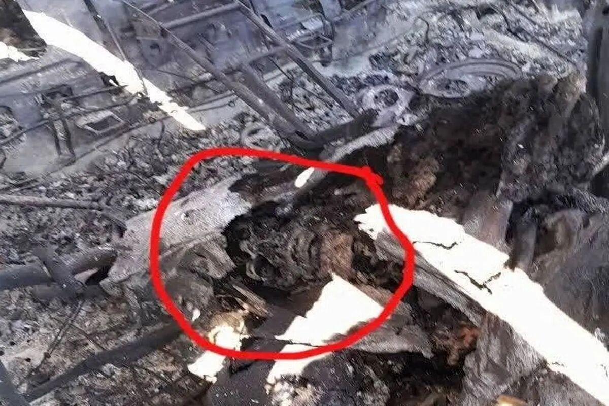 عذرخواهی مجری شبکه خبر به دلیل پخش تصویری نادرست از یک جسد در شب گذشته/ ویدئو