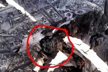 عذرخواهی مجری شبکه خبر به دلیل پخش تصویری نادرست از یک جسد در شب گذشته/ ویدئو