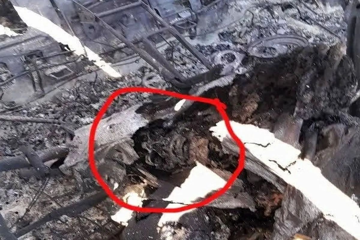 عذرخواهی مجری شبکه خبر به دلیل پخش تصویری نادرست از یک جسد در شب گذشته/ ویدئو