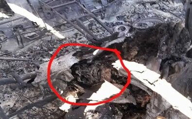 عذرخواهی مجری شبکه خبر به دلیل پخش تصویری نادرست از یک جسد در شب گذشته/ ویدئو