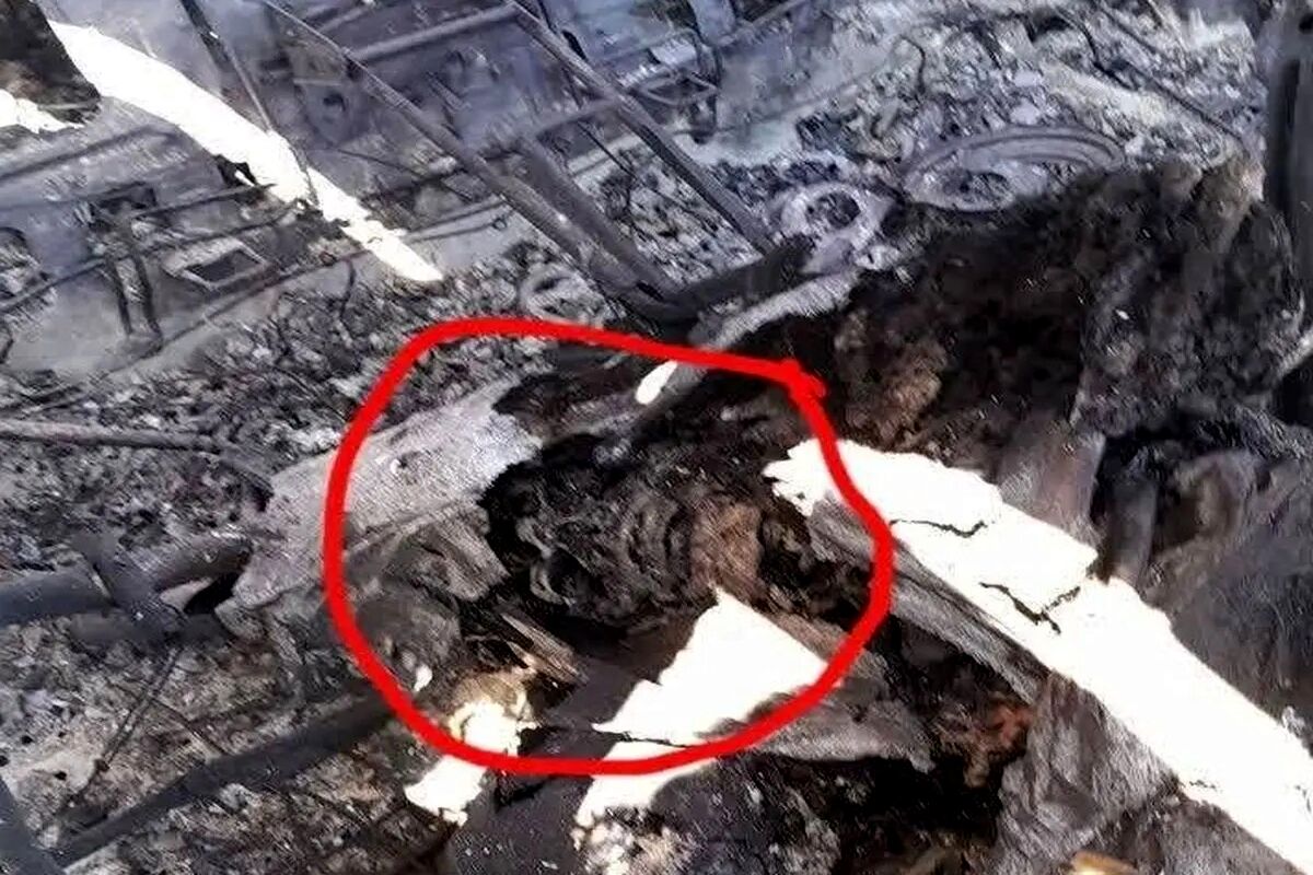 عذرخواهی مجری شبکه خبر به دلیل پخش تصویری نادرست از یک جسد در شب گذشته/ ویدئو