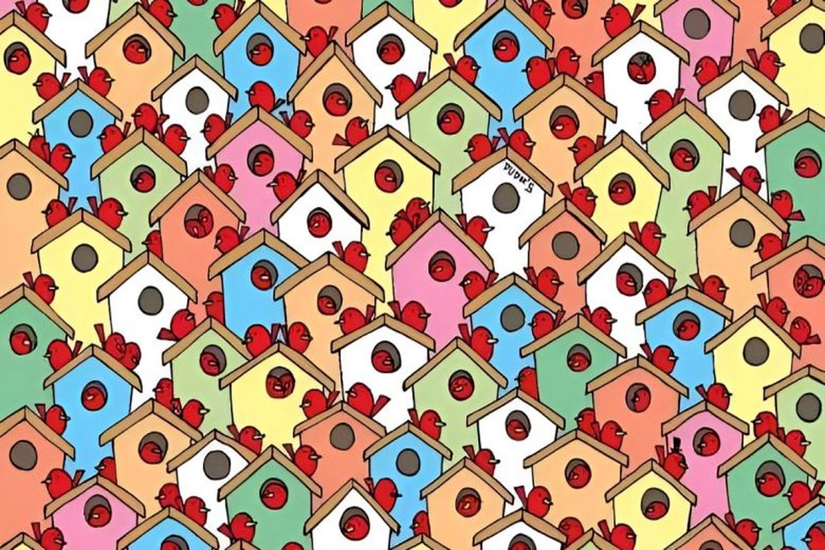 فقط افراد تیزبین می‌توانند سه سیب را بین پرندگان تشخیص دهند!