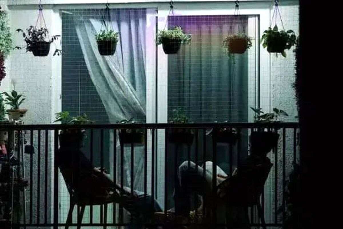 کارزار رفع ممنوعیت کشت خشخاش راه‌اندازی شد!