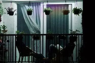 کارزار رفع ممنوعیت کشت خشخاش راه‌اندازی شد!