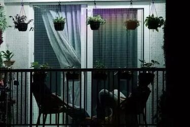 کارزار رفع ممنوعیت کشت خشخاش راه‌اندازی شد!